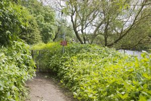 bellway yarm 60.jpg